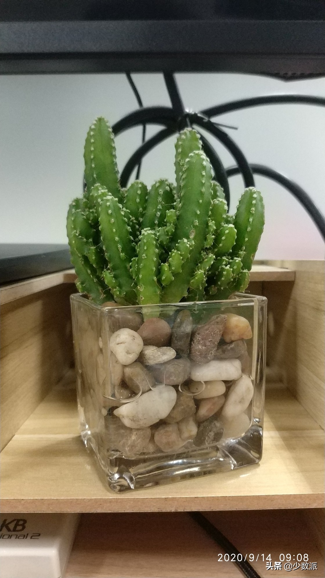 没有华丽舞台也没有炫彩的灯光,没有灯光的高性能电脑配置