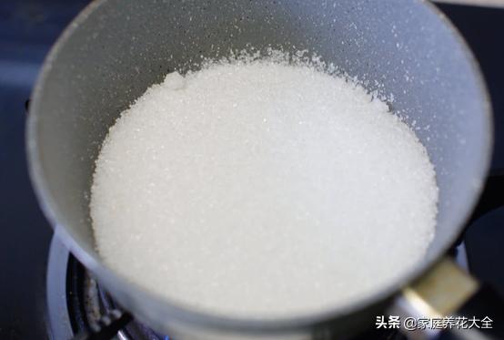 蜗牛没有房子,蜗牛没有房子还能活吗