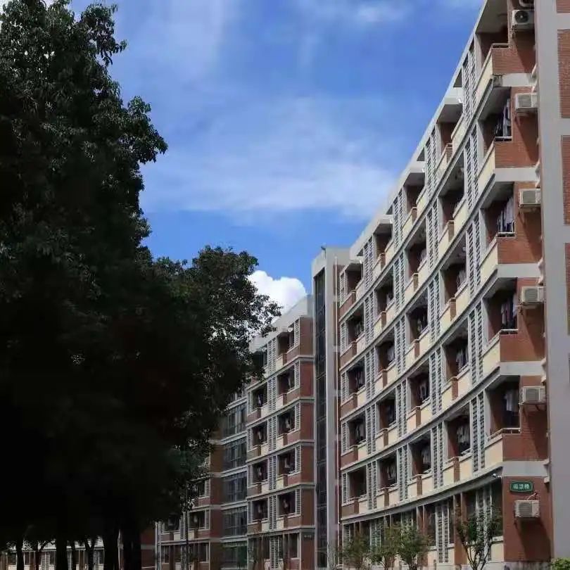 东莞中学松山湖学校特控率,东莞中学松山湖学校2022高考榜