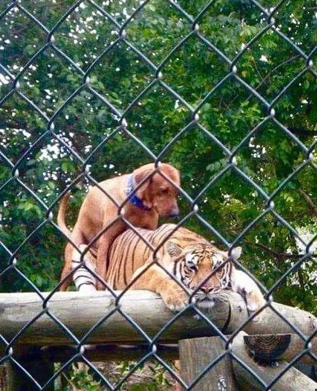 妹子说遇到烦心事怎么回,妹子说遇到麻烦了怎么回