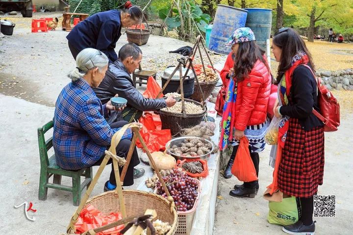 桂林兴安漠川银杏最佳观赏时间,桂林兴安漠川银杏网红打卡地