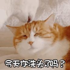 你在家几天没洗头了？“头发油了”不是可不是hairisoil哦