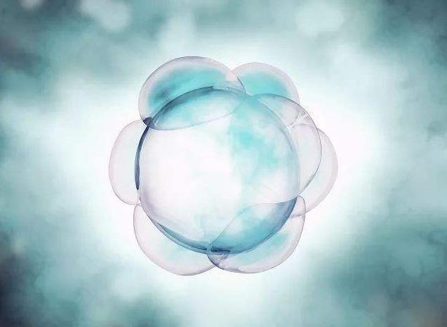 卵泡长得又大又圆不怀孕怎么办,卵泡发育很好怀不上是什么原因