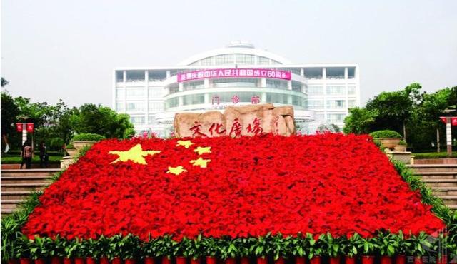 重庆中心城区三甲医院排名一览表,重庆三甲中医院名单及分布