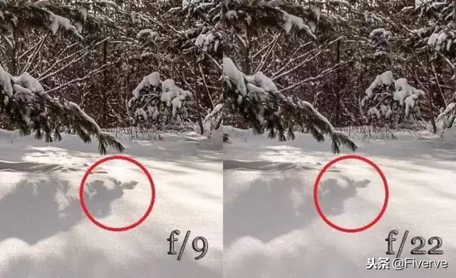 照片一放大就模糊，如何让摄影图片更加清晰？