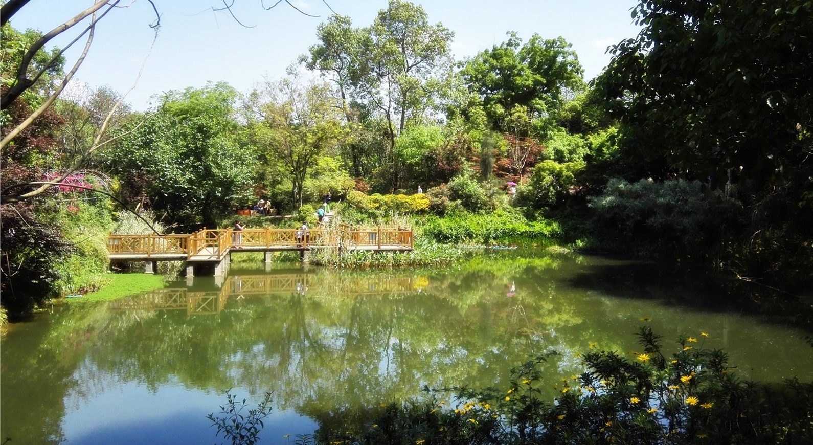成都最高的山海拔多高,成都爬最高的山