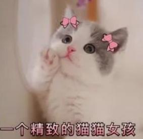 孕妇身体乳品牌十大排名,十大公认好用的孕妇身体乳