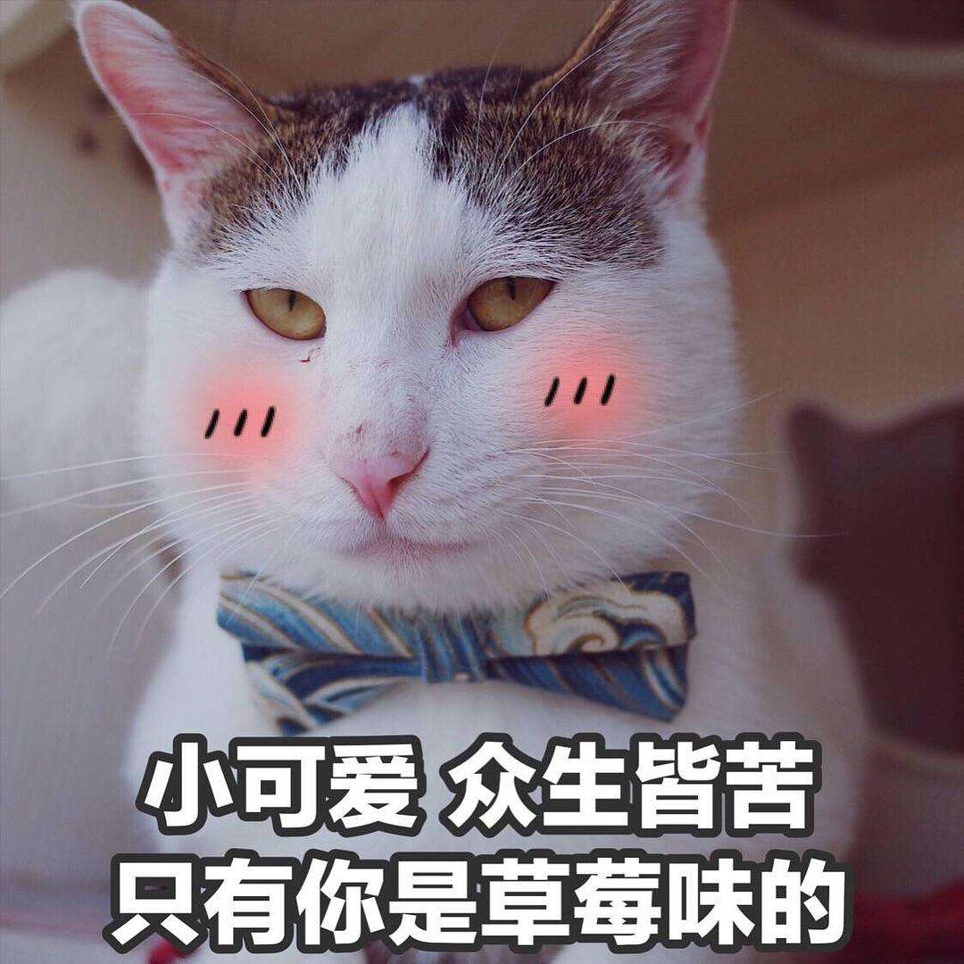 发情小母猫，在线鉴赏！！！