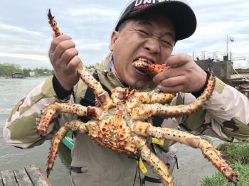 美食界的十大骗局,美食界的6大骗局