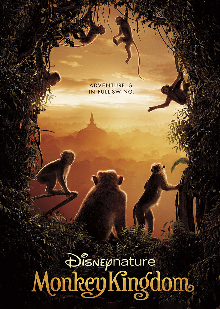 主题育儿第4期：猴哥来啦！5大分科N个方案，犒劳爱Monkey的娃