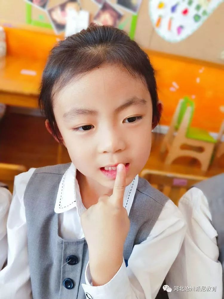 身体大揭秘动画,身体大揭秘