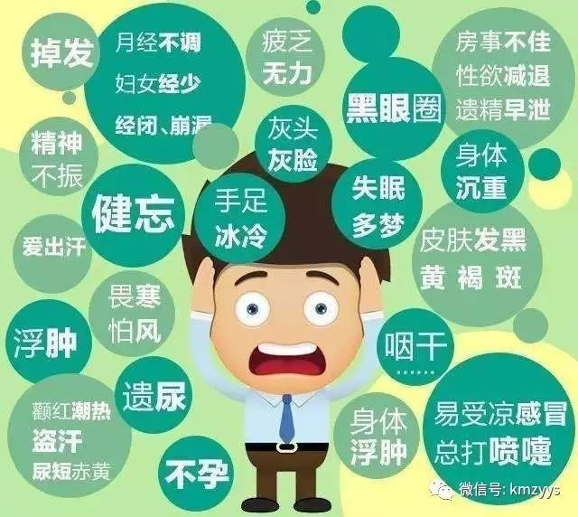 女人肾虚用什么药补肾,男人肾虚吃什么药补肾