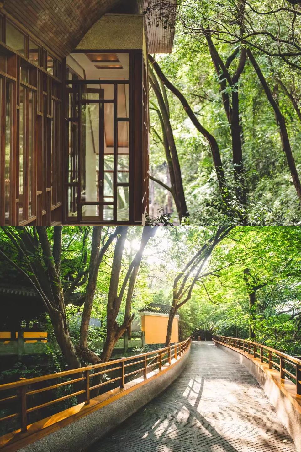 远离城市喧嚣的天然氧吧|重庆柏联温泉酒店