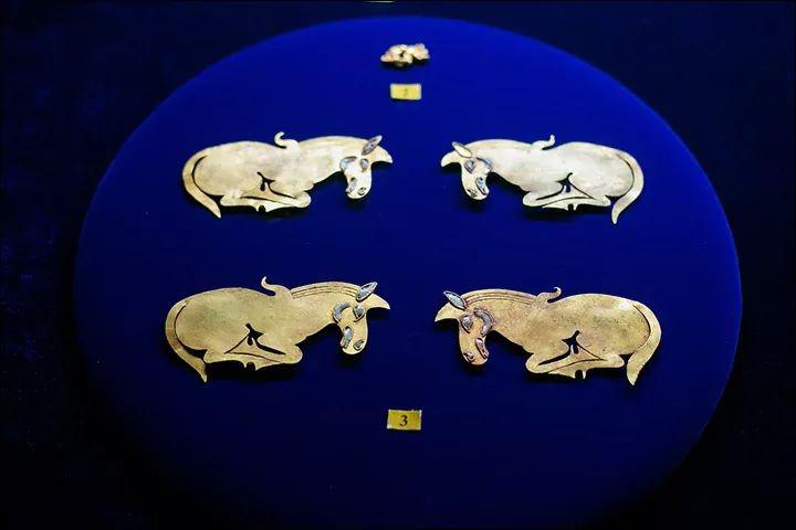 走马文化旅游度假区,走马文化旅游度假区在哪里