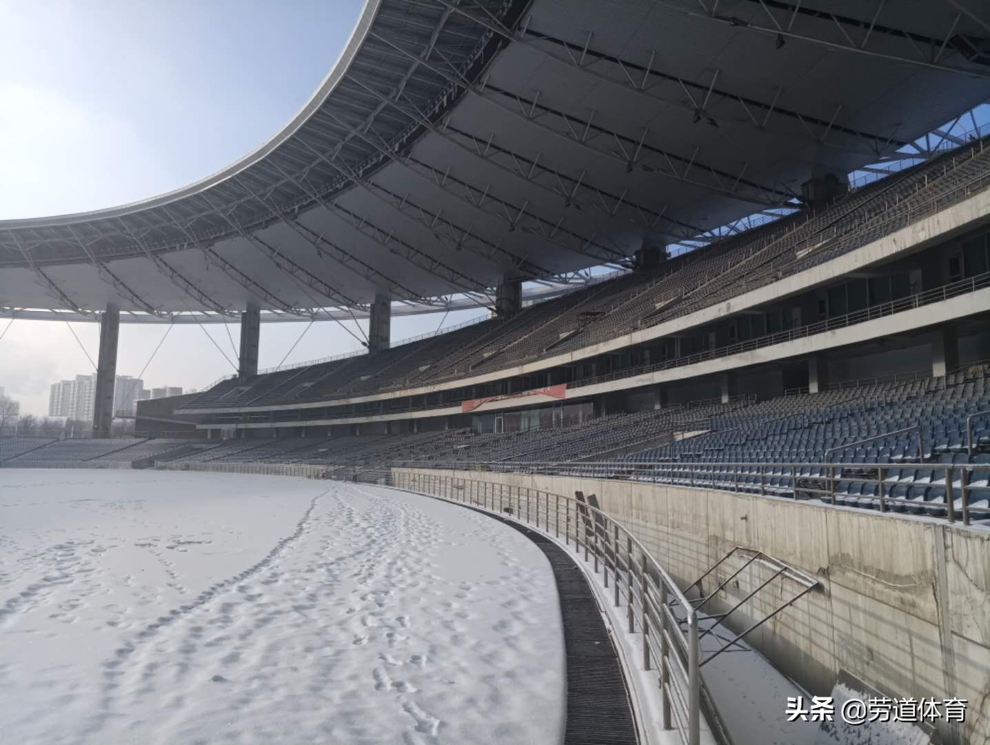 天山雪豹主场,中甲新疆天山雪豹什么时候冲超