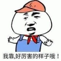 我倒要看看厂商葫芦里到底卖的什么药