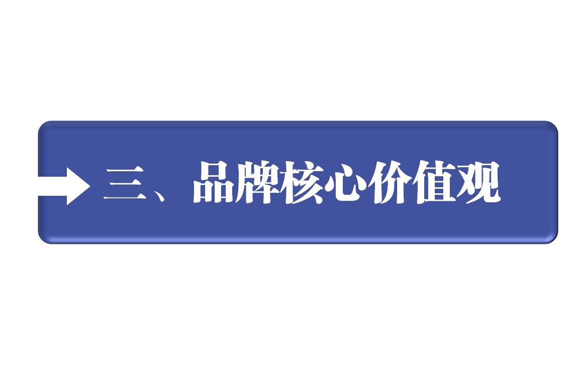 企业如何制定品牌营销策划,品牌营销战略管理方案设计模板