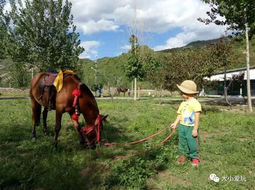 最美的房车营地,距离北京近的草原房车营地