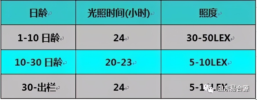 笼养肉鸡夏季管理,笼养肉鸡的管理