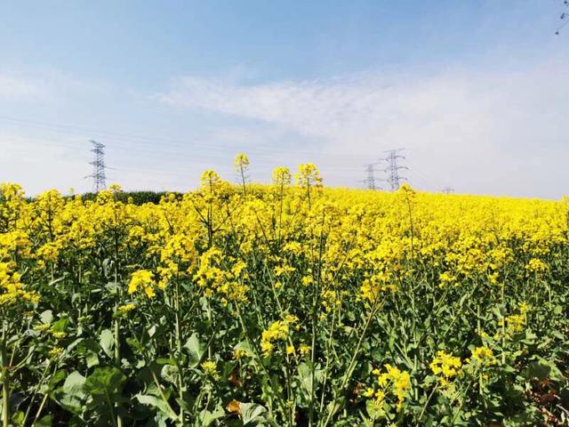 手拍世界手机摄影平台,手拍世界摄影平台