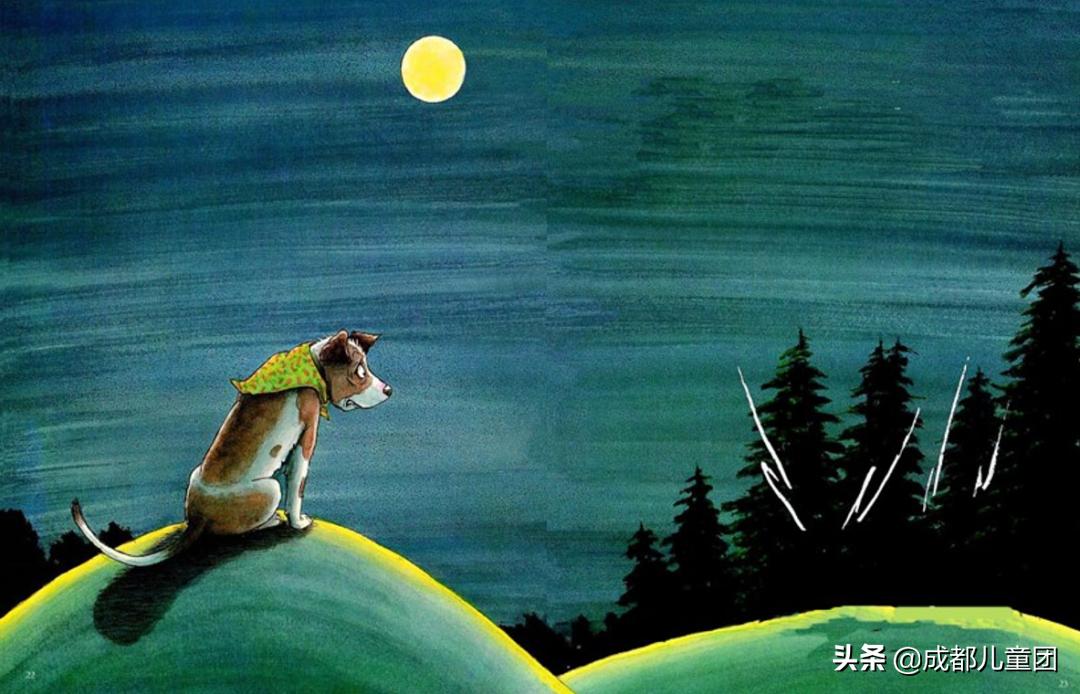 绘本如何读出最大的价值,绘本如何赏析和精读更有效