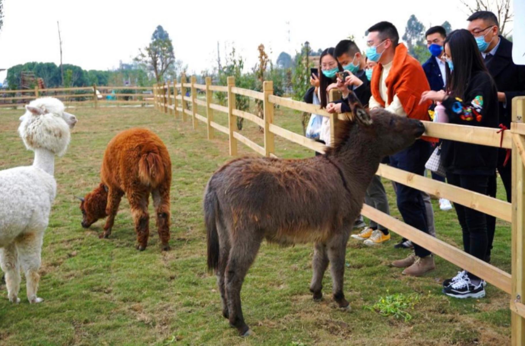 成都亲子游攻略最佳线路,五一成都附近亲子游推荐地