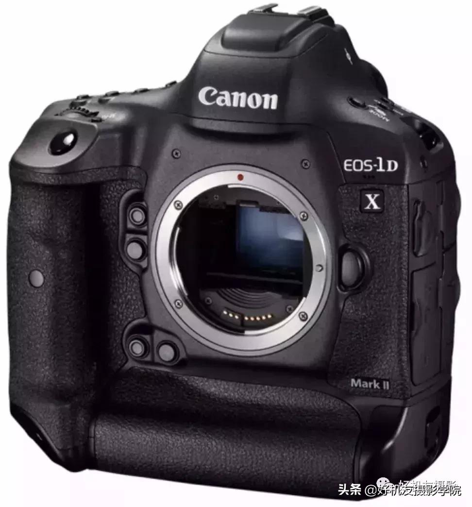 手机拍鸟镜头拍摄技巧,拍摄鸟片后期技巧有哪些