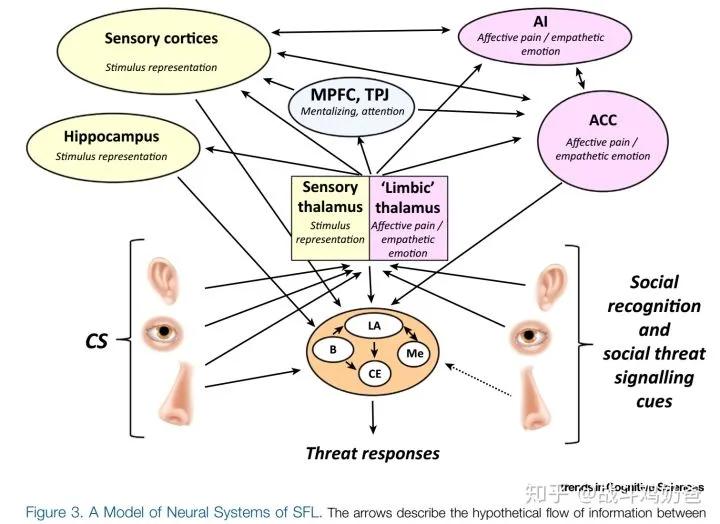 害怕小动物怎么解决,小孩害怕各种动物怎么回事