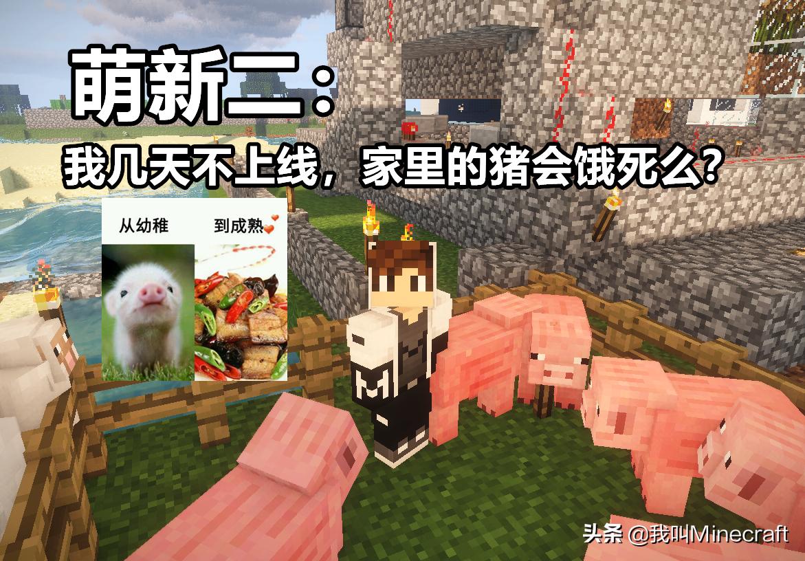 我的世界萌新反应视频,我的世界盘点萌新