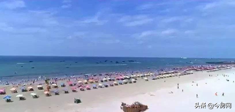 中国生态宜居后花园—北海！候鸟族眼中的“人居天堂”