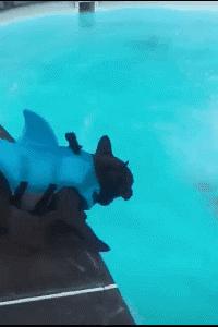 鎼炵瑧gif娈靛瓙濡瑰瓙浣犲お鐨簡,鎼炵瑧gif娈靛瓙濡瑰瓙鏈夌偣澶窐姘斾簡