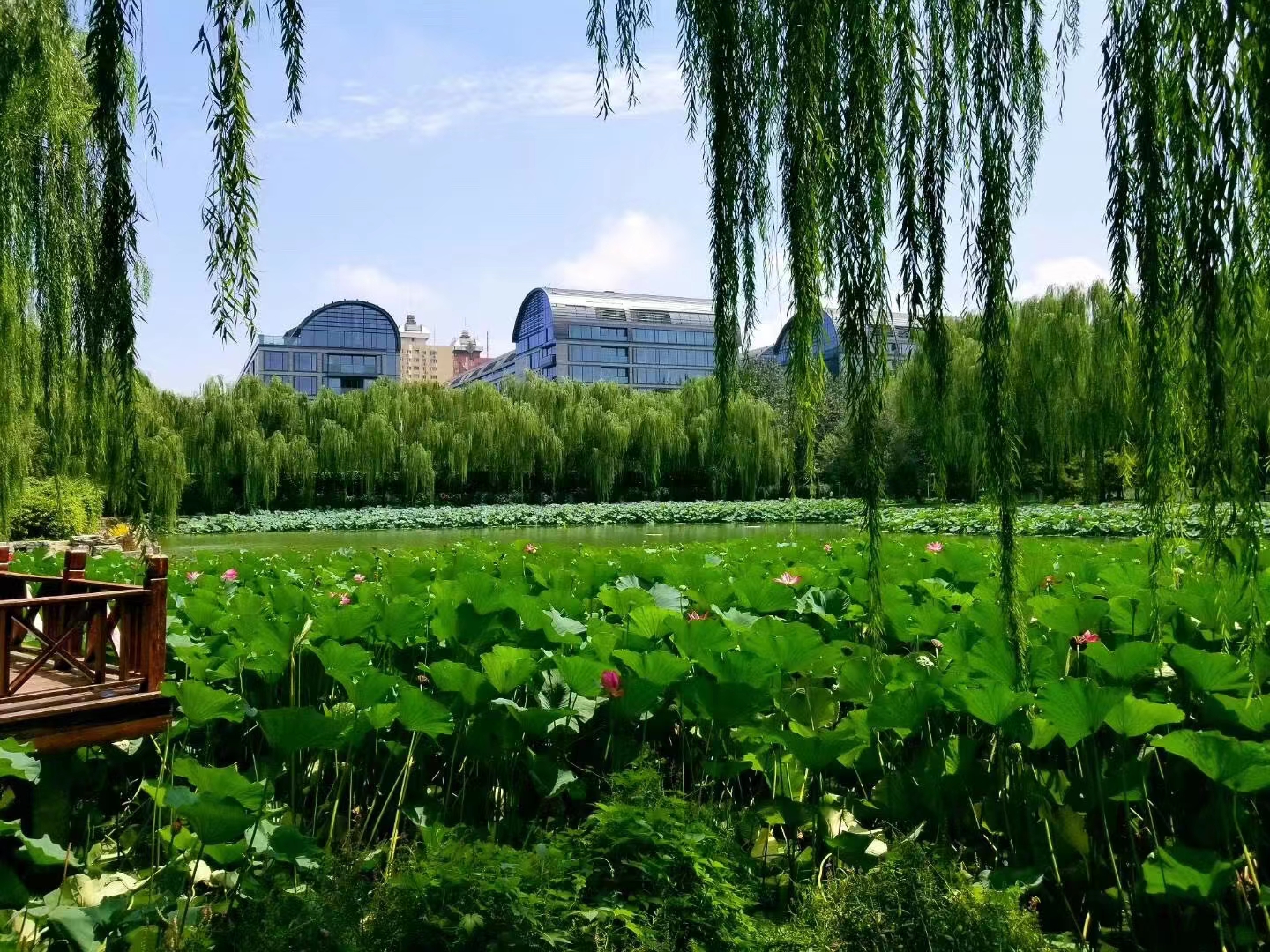 北京泛海融创壹号院,融创壹号院北京泛海世家旁