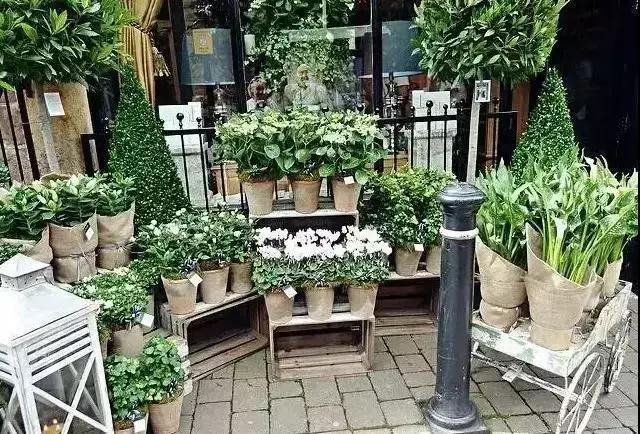 新手开花店怎样入门,怎么快速学开花店