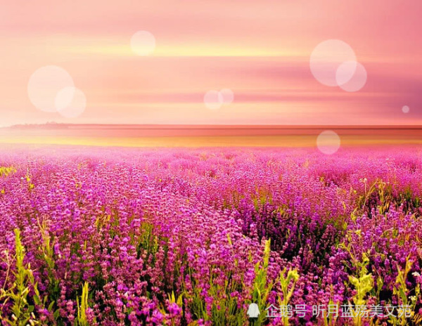 有一种爱叫等待的爱歌曲,有一种爱情叫等待为我披上婚纱