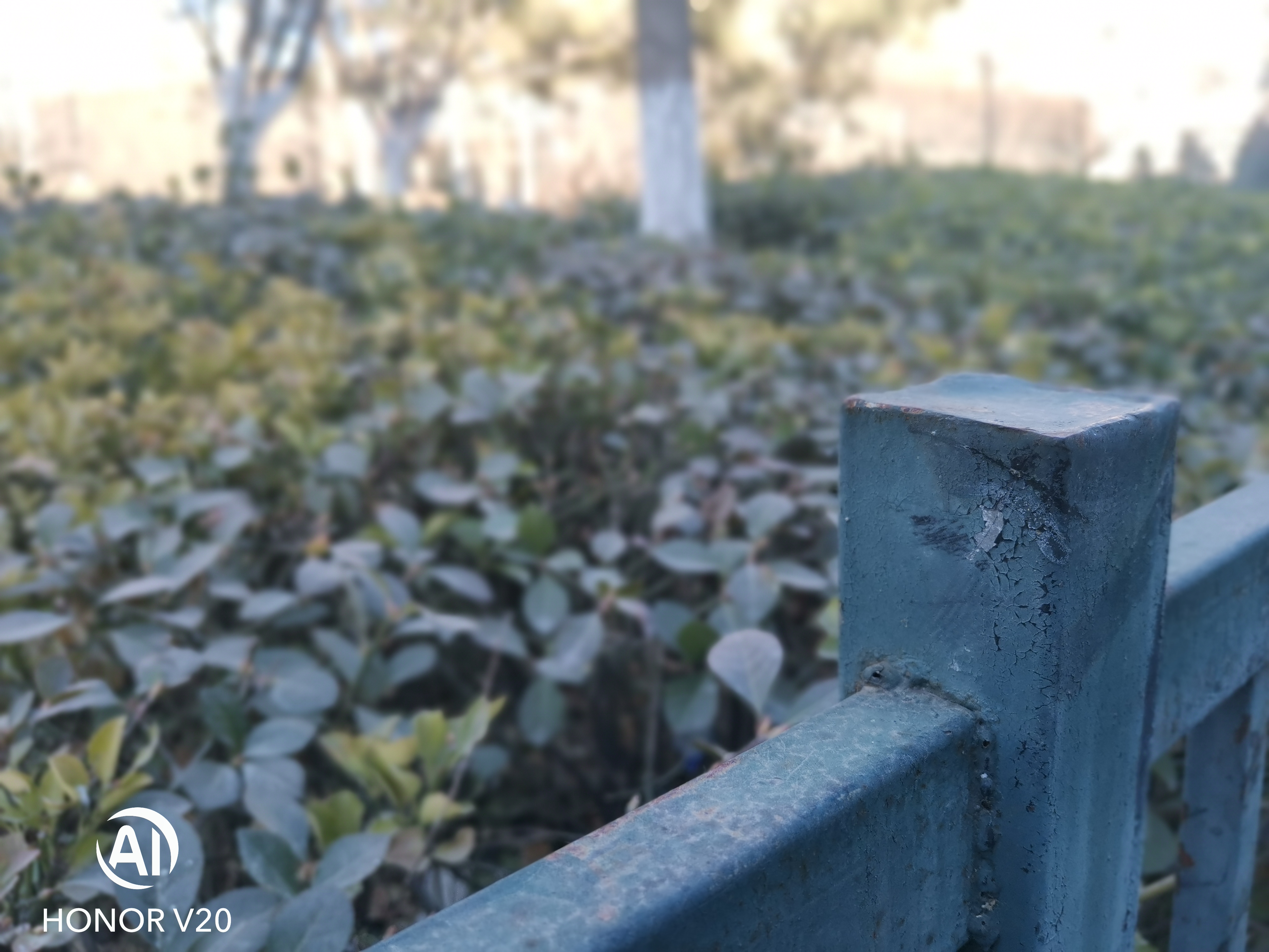 荣耀v20深度评测,荣耀v20的麒麟980降频了吗