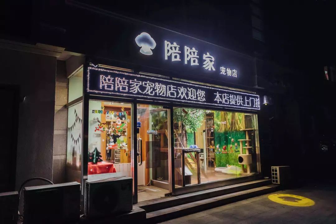 宠物店办理会员卡一般哪个系统,宠物店会员卡服务流程