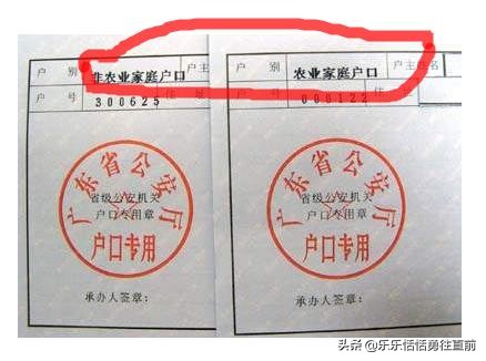 高三复读可以迁户口吗,陕西高三还可以迁户口吗