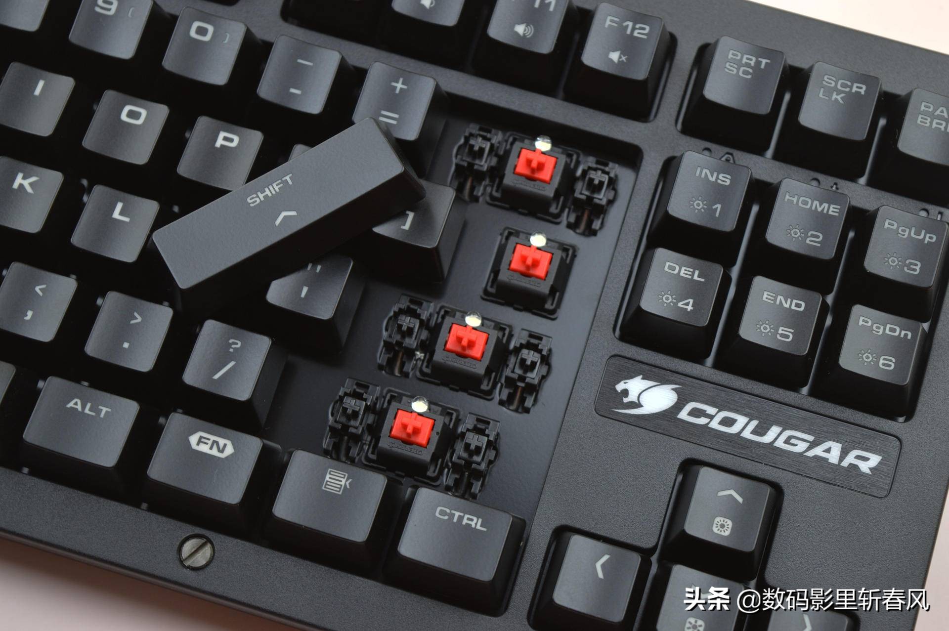 purltkl键盘樱桃青轴,磁吸防尘网推荐