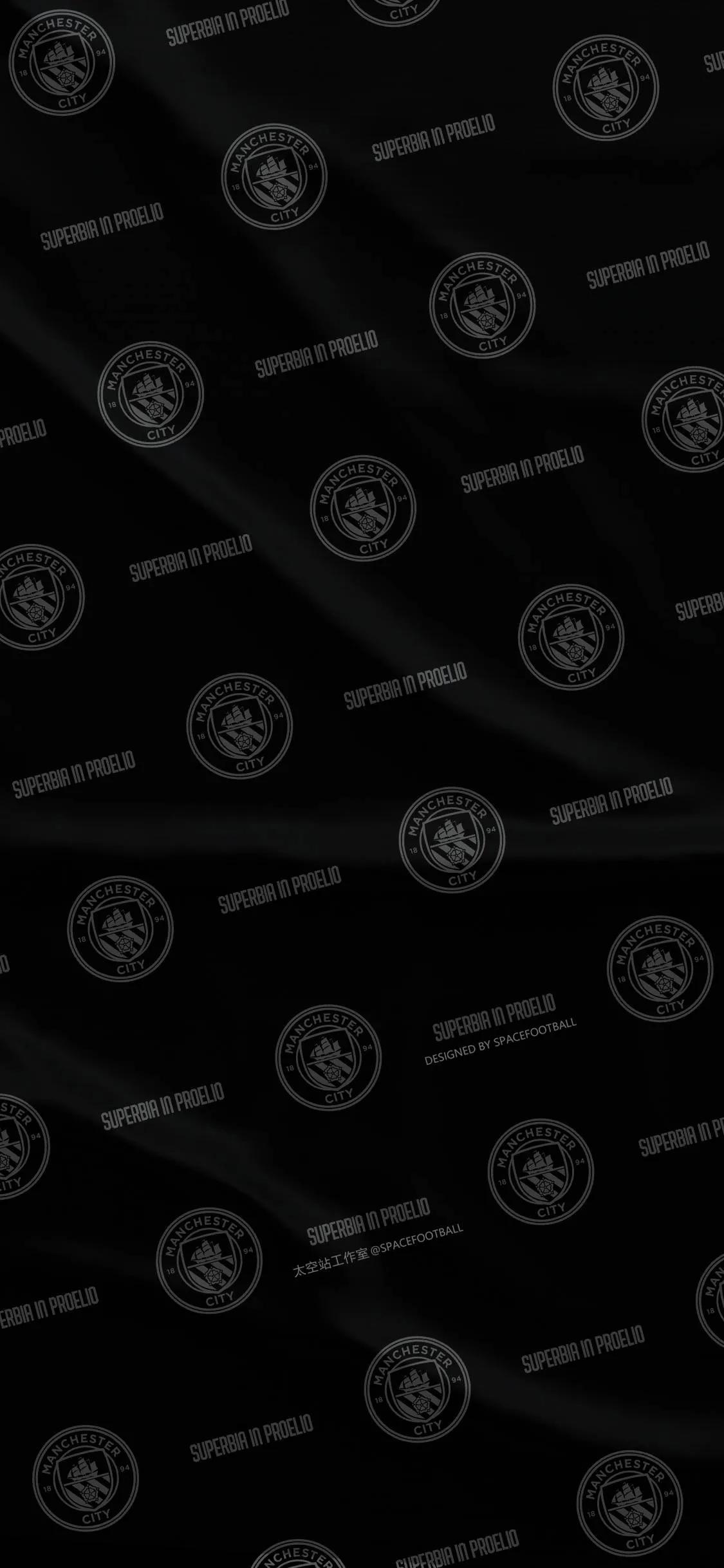 曼城夺得足总杯冠军壁纸,曼城英超夺冠壁纸