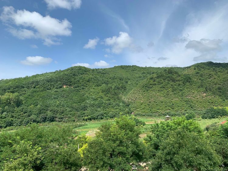 秦岭里飞出的“土蜂蜜”-------陕西省龙草坪林业局发展中蜂见闻