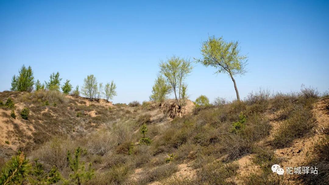 榆林芹河旅游,榆阳区周末游玩推荐