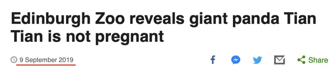 终于拍到熊猫,终于拍到了可爱的大熊猫