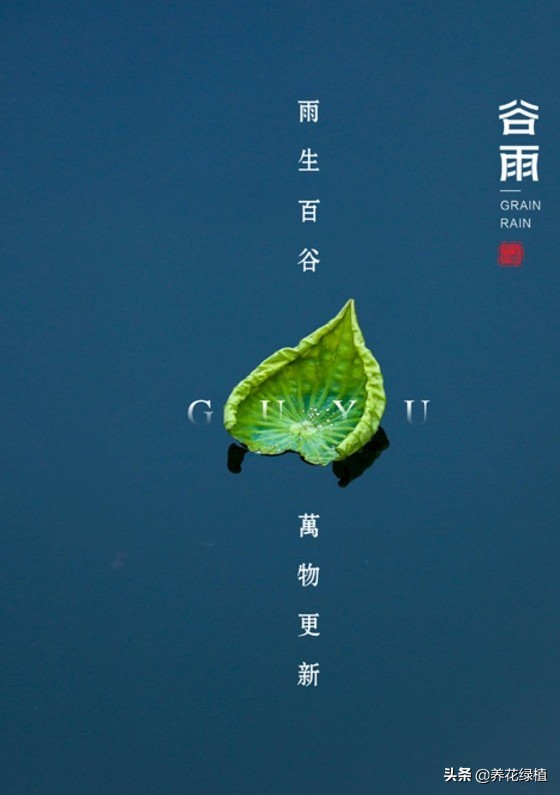 农谚谷雨下雨好吗,谷雨下雨农谚怎么说