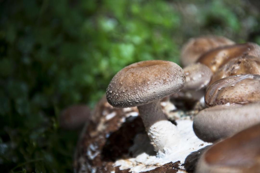 骞垮厓蹇箰椹跨珯鏃呮父鏀荤暐,鍘诲箍鍏冪殑鏀荤暐璺嚎鎺ㄨ崘