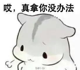 二年级英语零基础如何学英语,什么诀窍让孩子学习英语口语快