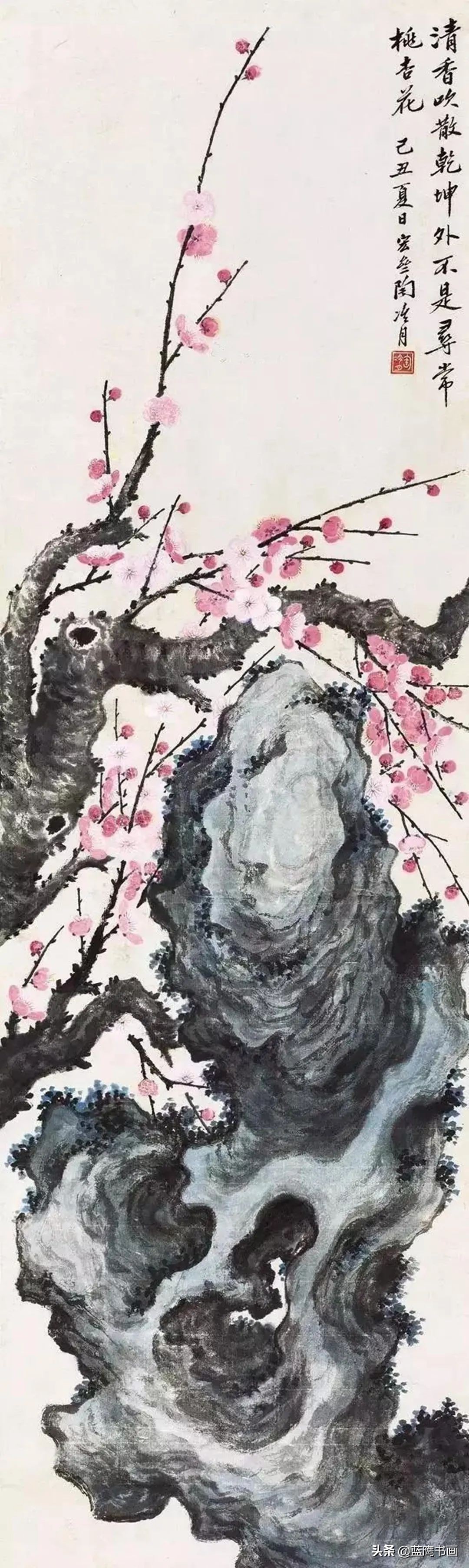 梅花代表着怎样的精神和品格,更欣赏梅花所蕴含的精神力量