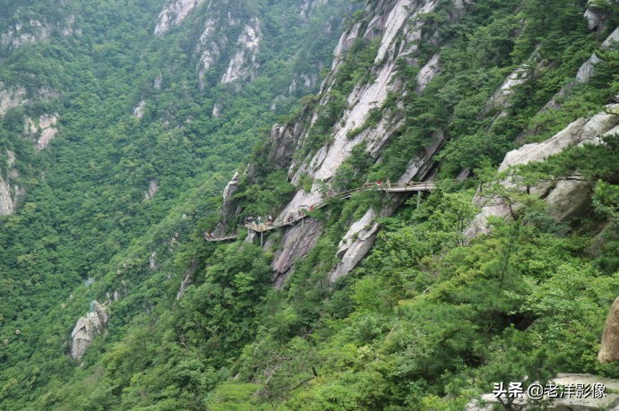 藏龙大别山度假酒店,罗田天堂寨藏龙大酒店价格