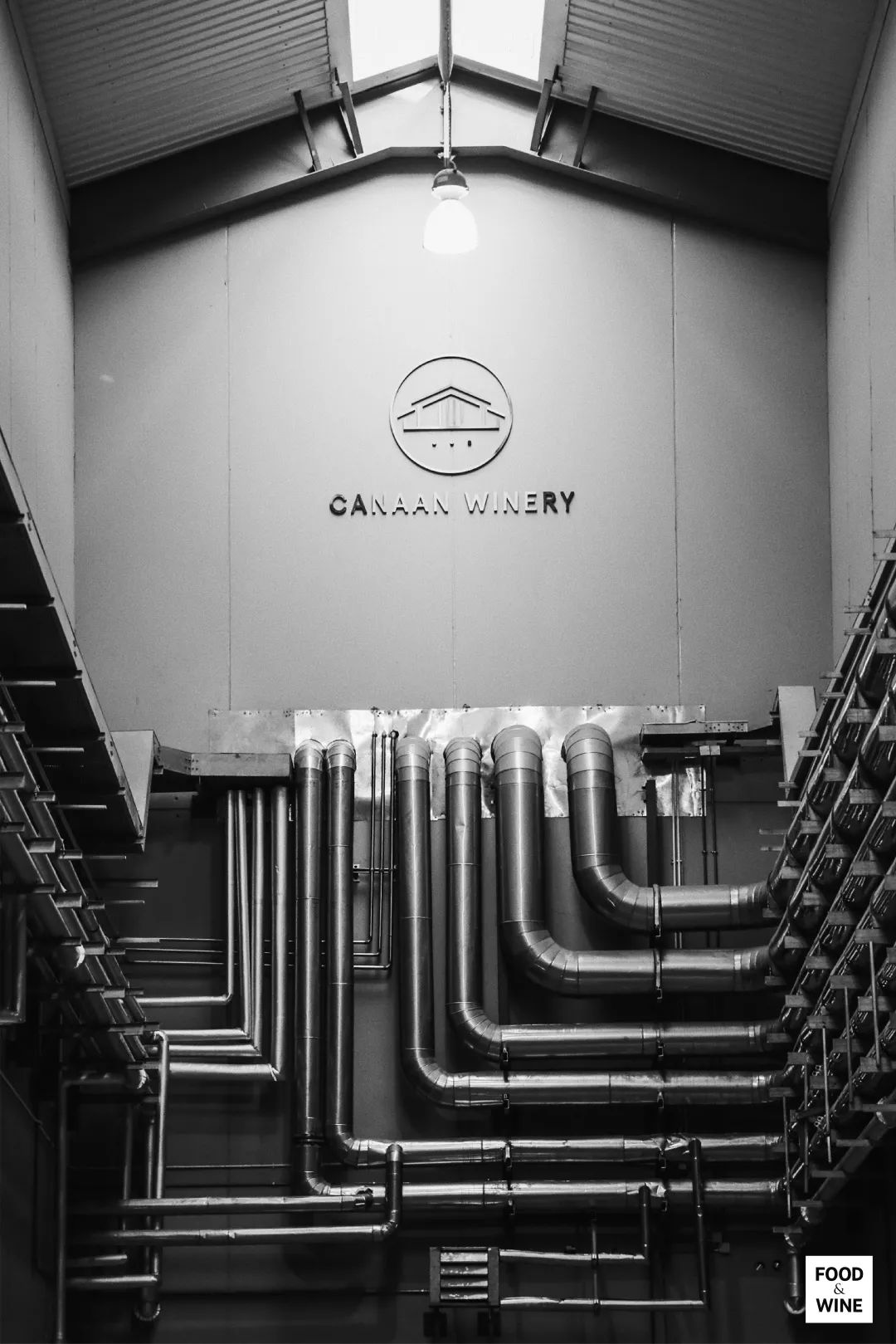 中国造葡萄酒,中国制造的葡萄酒