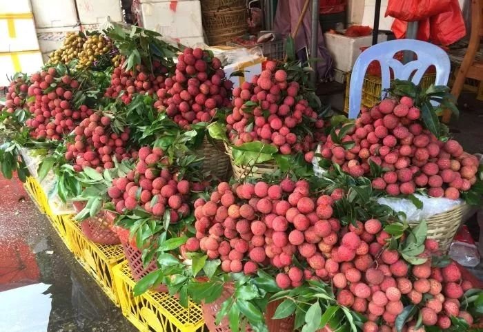 深圳最便宜年货批发市场货源,深圳年货市场哪里便宜
