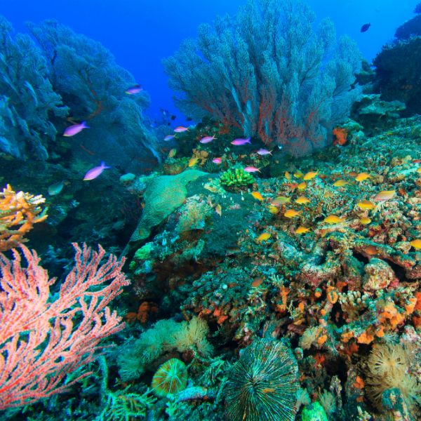 中国必去的儿童乐园,超级游乐园儿童乐园